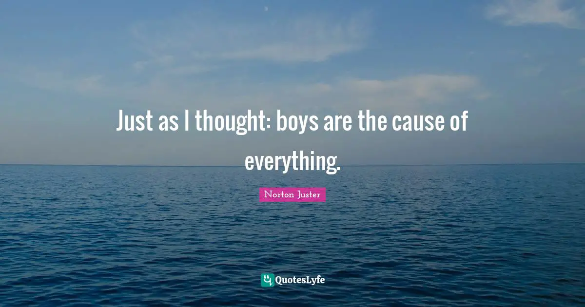 Just as I thought: boys are the cause of everything.