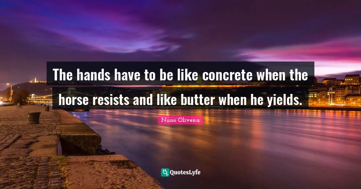 The hands have to be like concrete when the horse resists and like butter when he yields.