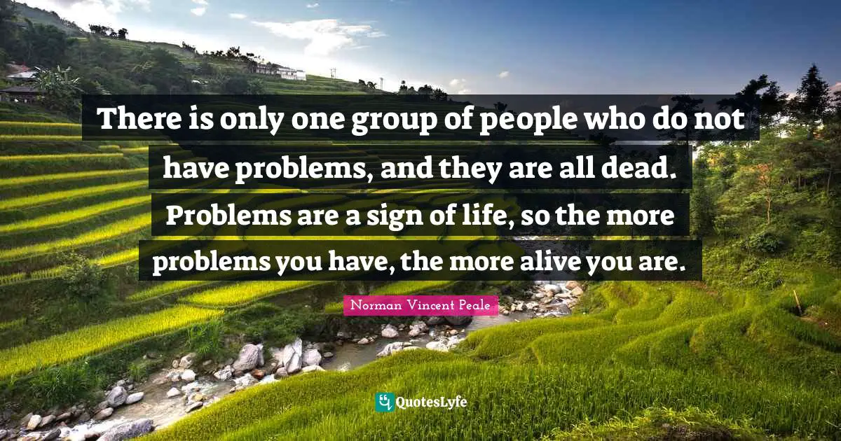 There is only one group of people who do not have problems, and they are all dead. Problems are a sign of life, so the more problems you have, the more alive you are.