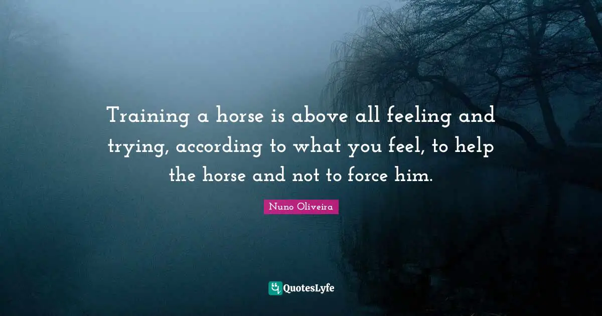 Training a horse is above all feeling and trying, according to what you feel, to help the horse and not to force him.