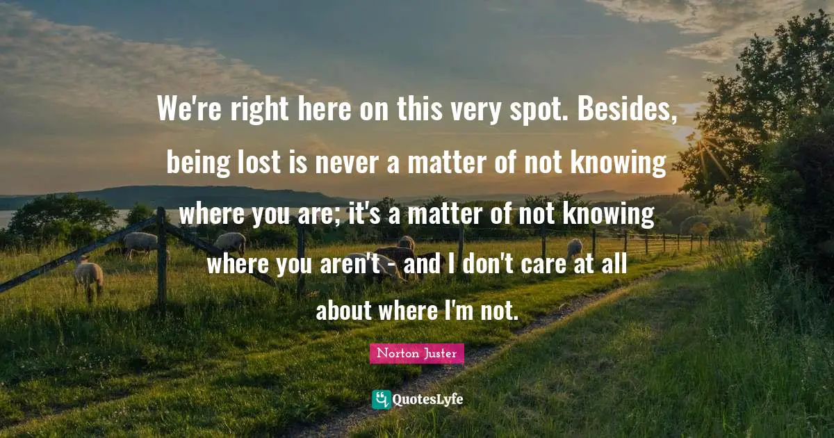 We're right here on this very spot. Besides, being lost is never a matter of not knowing where you are; it's a matter of not knowing where you aren't - and I don't care at all about where I'm not.