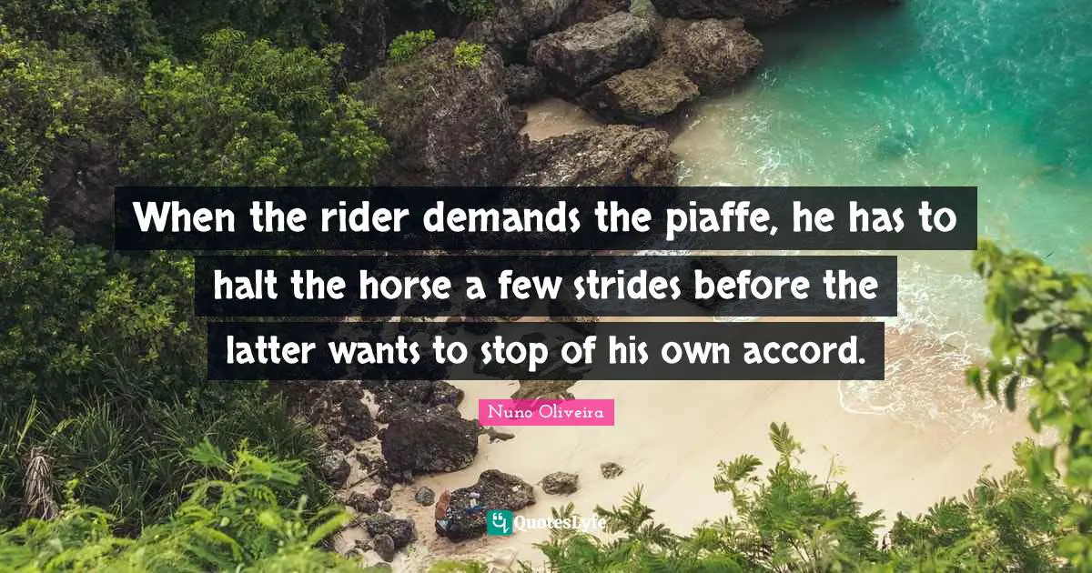 Accord Quotes: "When the rider demands the piaffe, he has to halt the horse a few strides before the latter wants to stop of his own accord."