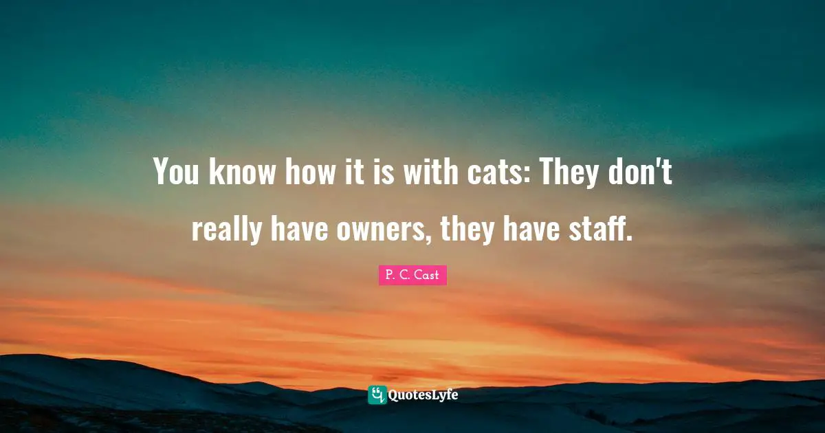 You know how it is with cats: They don't really have owners, they have staff.