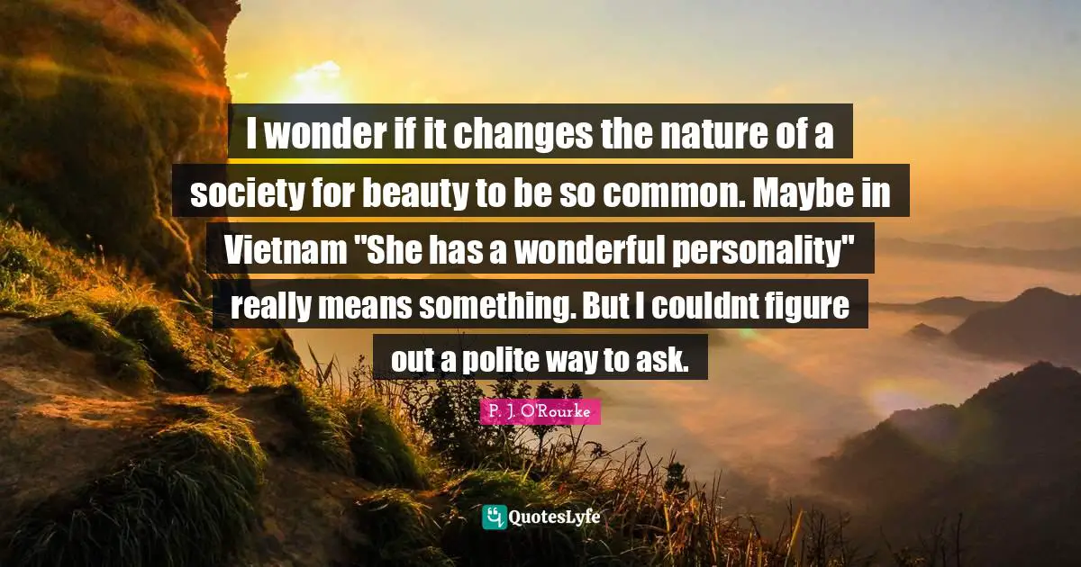 I wonder if it changes the nature of a society for beauty to be so common. Maybe in Vietnam "She has a wonderful personality" really means something. But I couldnt figure out a polite way to ask.