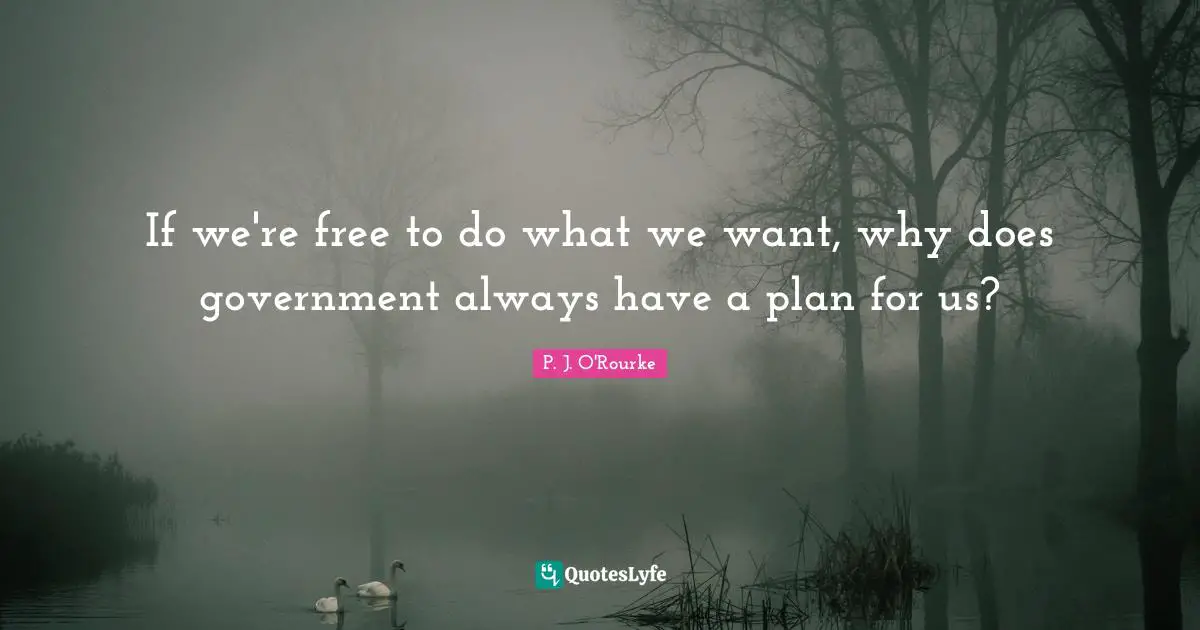 If we're free to do what we want, why does government always have a plan for us?