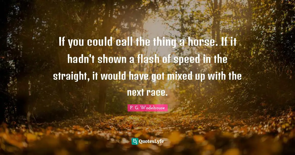 If you could call the thing a horse. If it hadn't shown a flash of speed in the straight, it would have got mixed up with the next race.