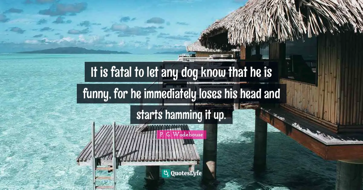 It is fatal to let any dog know that he is funny, for he immediately loses his head and starts hamming it up.
