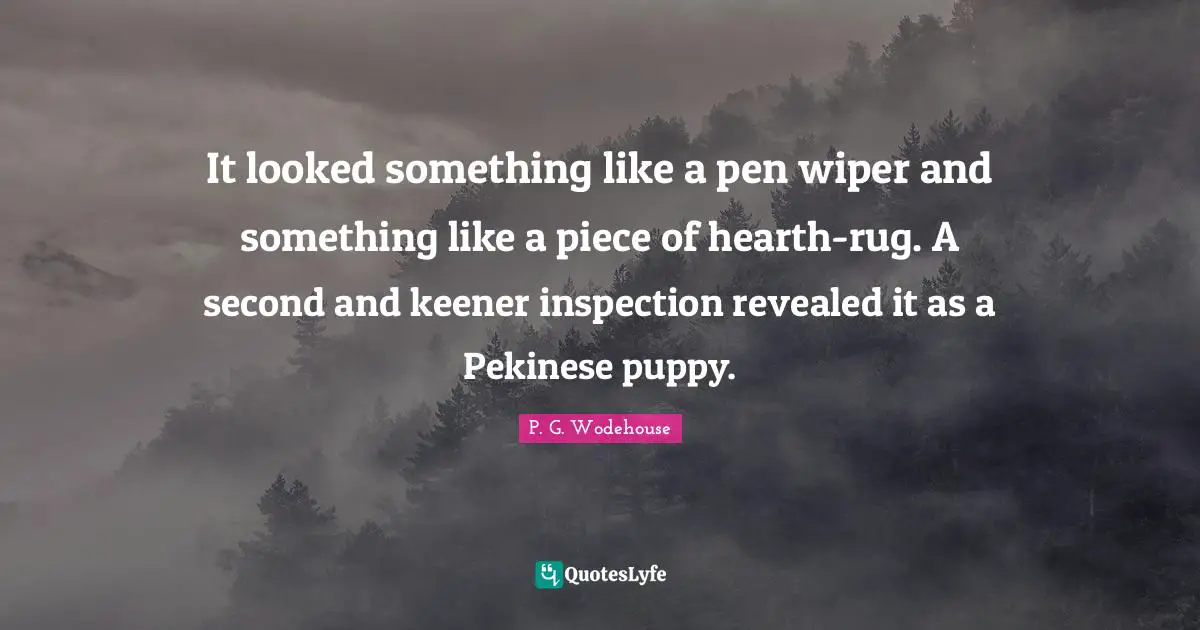 It looked something like a pen wiper and something like a piece of hearth-rug. A second and keener inspection revealed it as a Pekinese puppy.