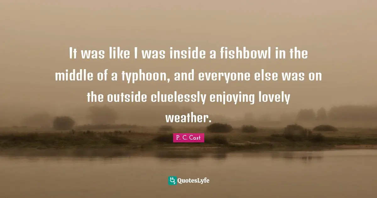 It was like I was inside a fishbowl in the middle of a typhoon, and everyone else was on the outside cluelessly enjoying lovely weather.