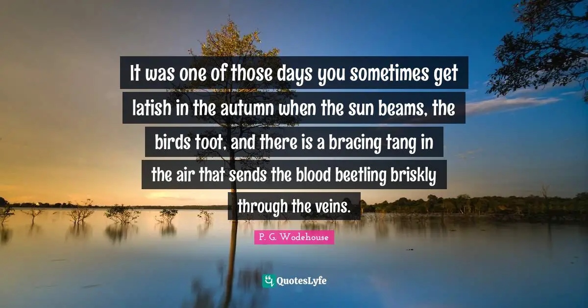 It was one of those days you sometimes get latish in the autumn when the sun beams, the birds toot, and there is a bracing tang in the air that sends the blood beetling briskly through the veins.