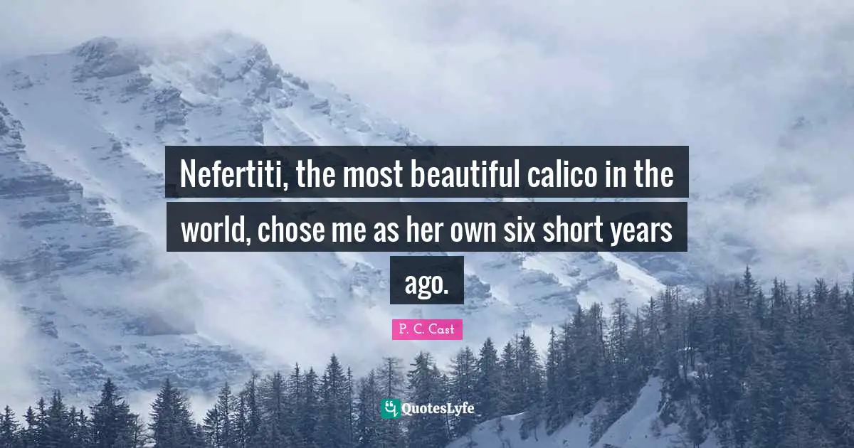 P.C. Cast Quotes: "Nefertiti, the most beautiful calico in the world, chose me as her own six short years ago."
