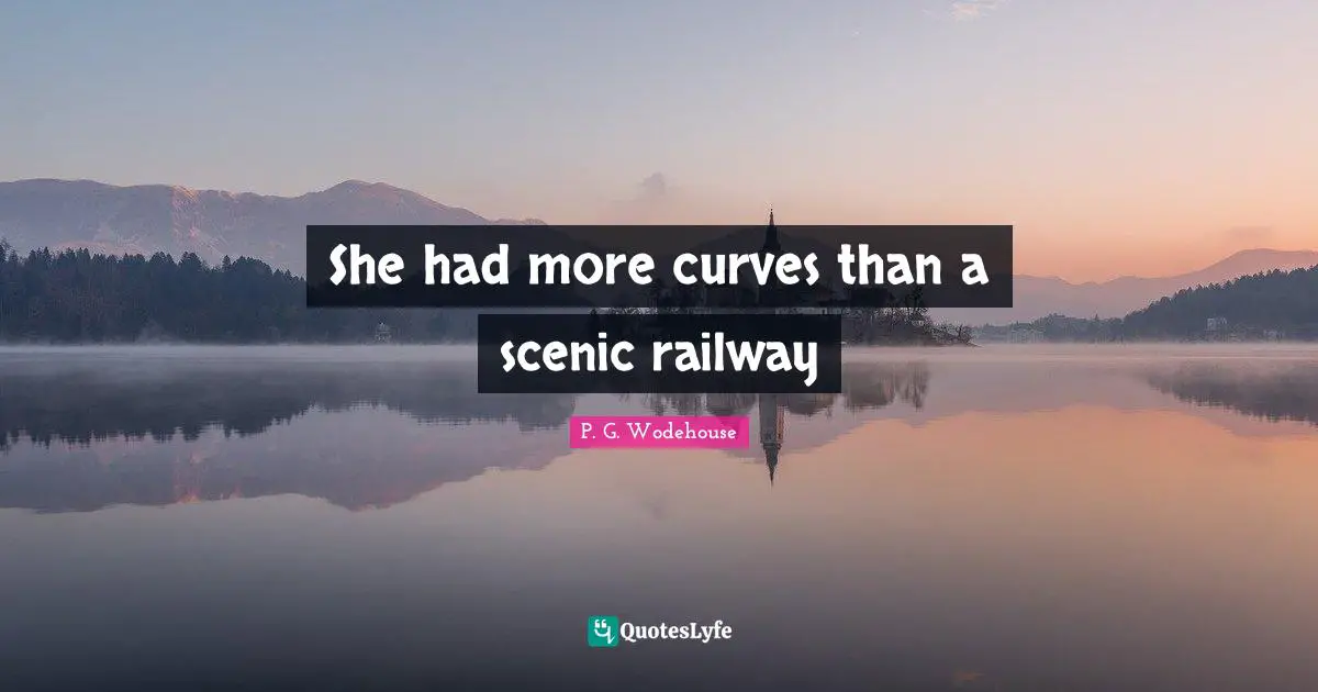 She had more curves than a scenic railway