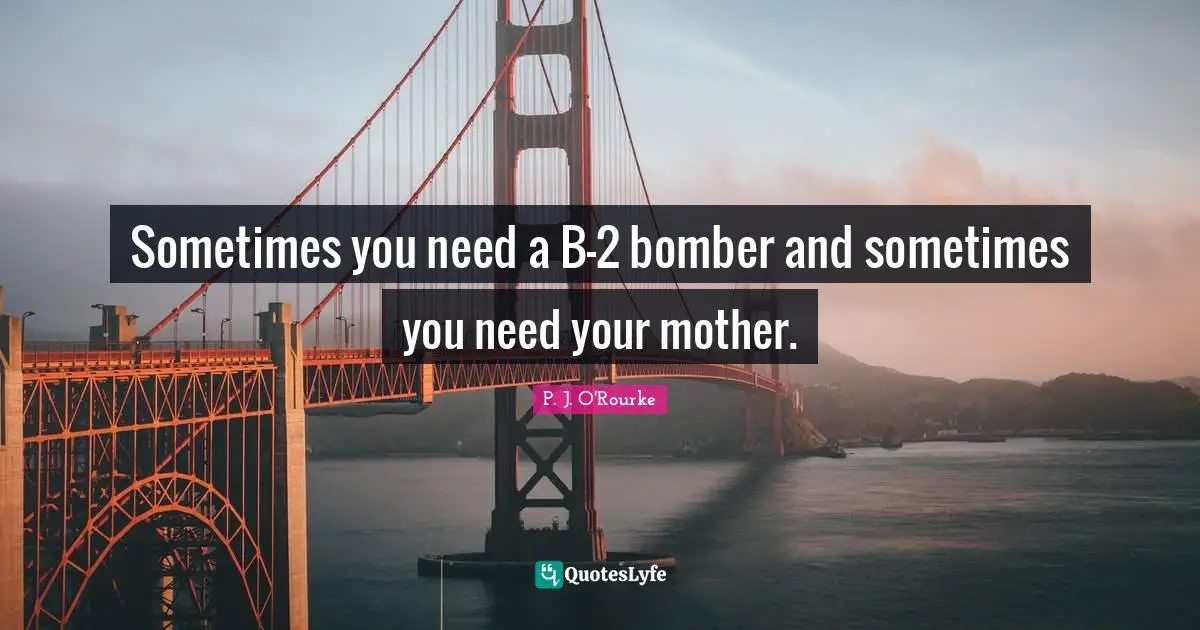 Sometimes you need a B-2 bomber and sometimes you need your mother.
