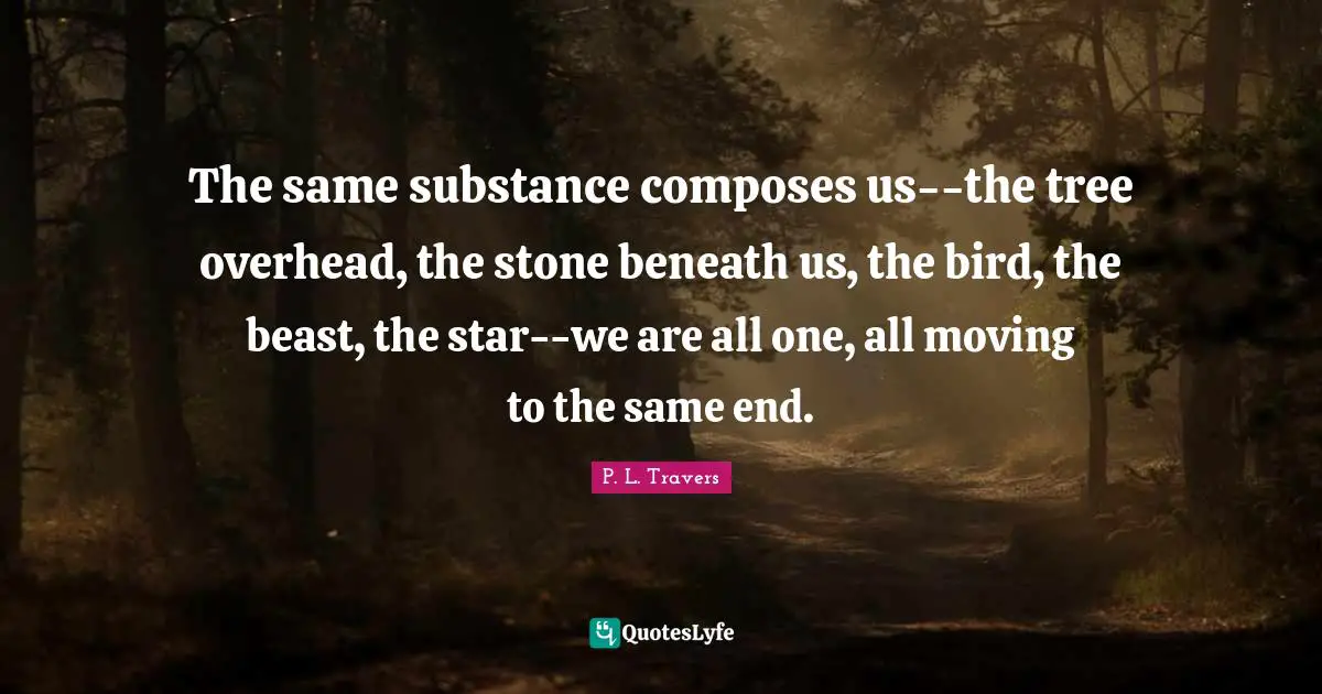 The same substance composes us--the tree overhead, the stone beneath us, the bird, the beast, the star--we are all one, all moving to the same end.