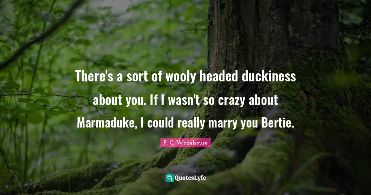 There's a sort of wooly headed duckiness about you. If I wasn't so crazy about Marmaduke, I could really marry you Bertie.