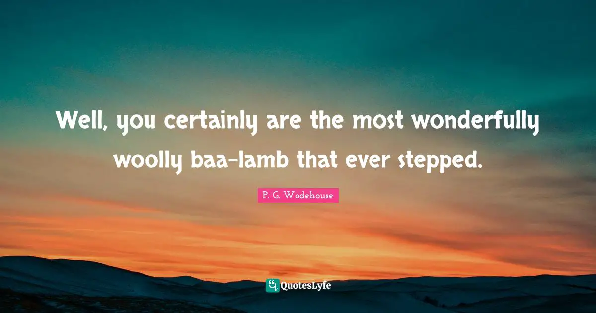 Well, you certainly are the most wonderfully woolly baa-lamb that ever stepped.