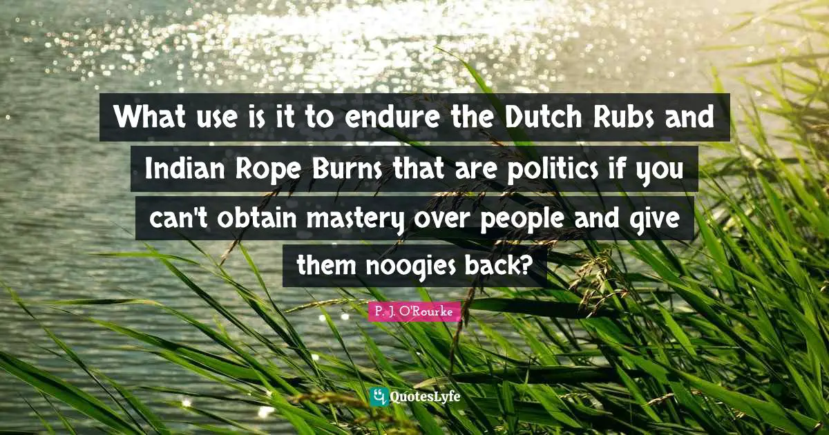 What use is it to endure the Dutch Rubs and Indian Rope Burns that are politics if you can't obtain mastery over people and give them noogies back?