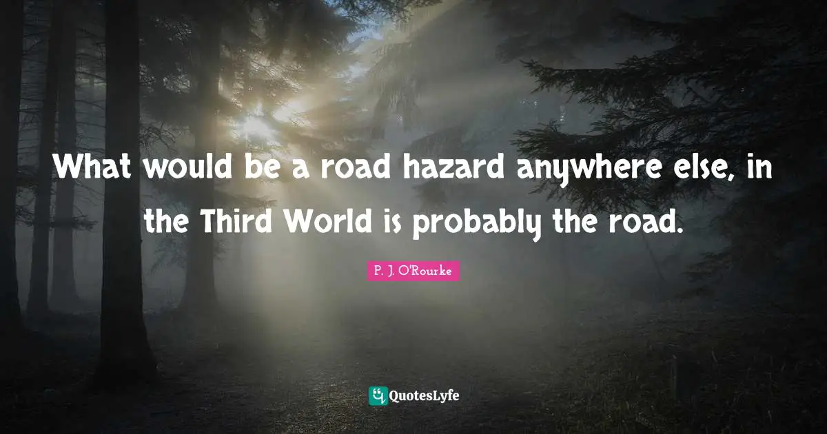 Hazards Quotes: "What would be a road hazard anywhere else, in the Third World is probably the road."