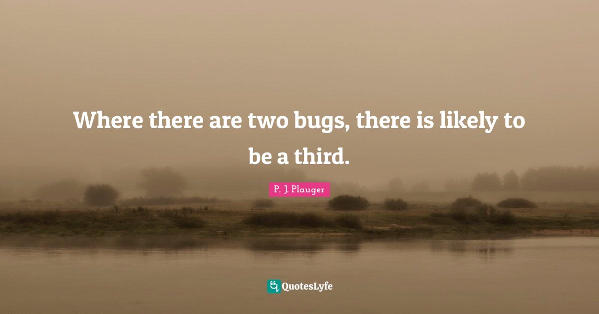 Where there are two bugs, there is likely to be a third.