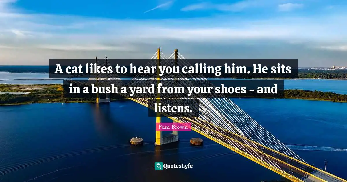 A cat likes to hear you calling him. He sits in a bush a yard from your shoes - and listens.