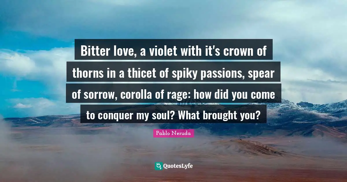 Bitter love, a violet with it's crown of thorns in a thicet of spiky passions, spear of sorrow, corolla of rage: how did you come to conquer my soul? What brought you?