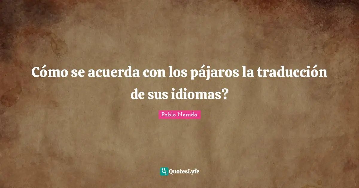 Cómo se acuerda con los pájaros la traducción de sus idiomas?