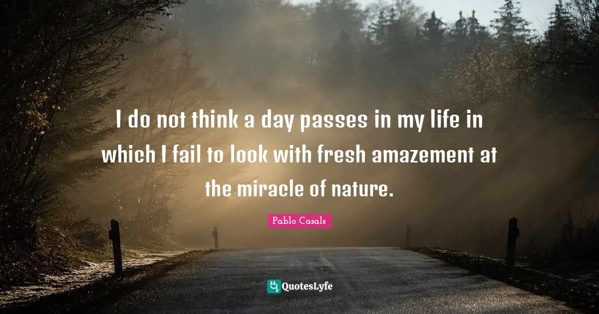 I do not think a day passes in my life in which I fail to look with fresh amazement at the miracle of nature.