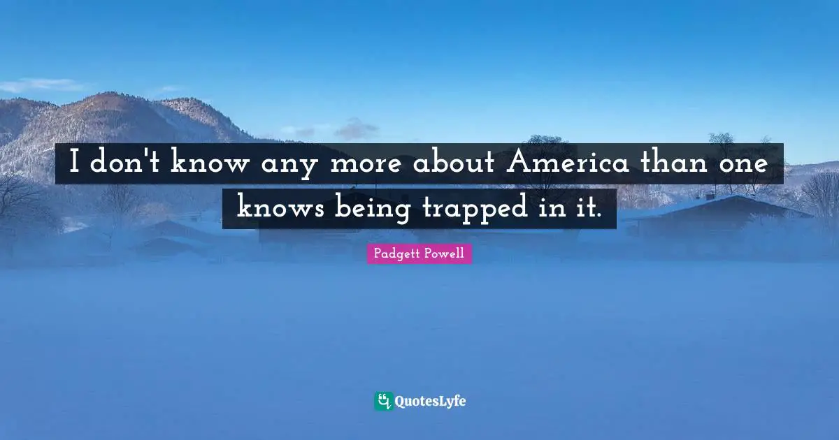 I don't know any more about America than one knows being trapped in it.