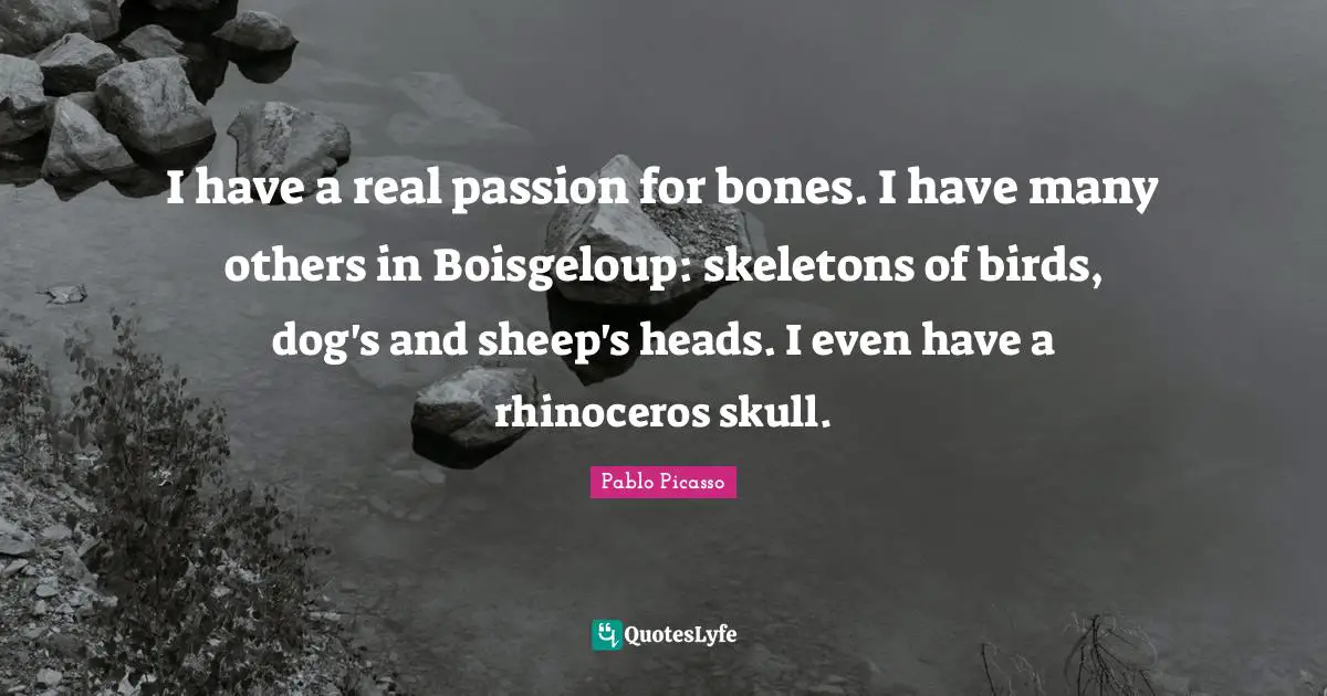 Skeletons Quotes: "I have a real passion for bones. I have many others in Boisgeloup: skeletons of birds, dog's and sheep's heads. I even have a rhinoceros skull."
