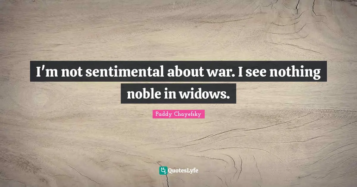 I'm not sentimental about war. I see nothing noble in widows.