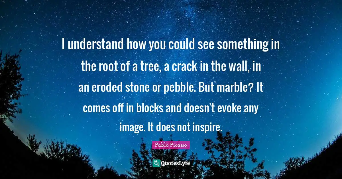 I understand how you could see something in the root of a tree, a crack in the wall, in an eroded stone or pebble. But marble? It comes off in blocks and doesn't evoke any image. It does not inspire.