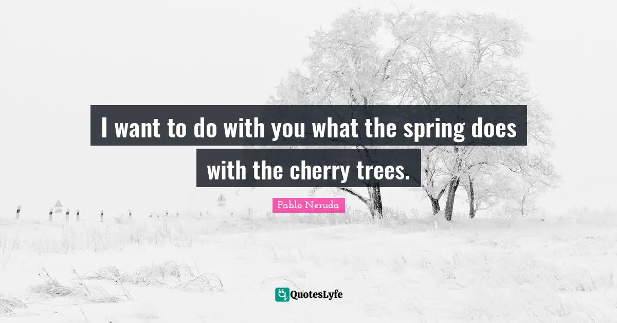 I want to do with you what the spring does with the cherry trees.