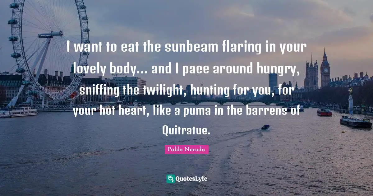 Pace Quotes: "I want to eat the sunbeam flaring in your lovely body... and I pace around hungry, sniffing the twilight, hunting for you, for your hot heart, like a puma in the barrens of Quitratue."