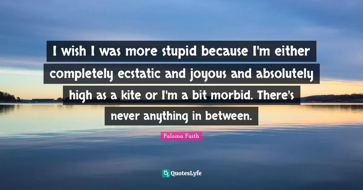 Ecstatic Quotes: "I wish I was more stupid because I'm either completely ecstatic and joyous and absolutely high as a kite or I'm a bit morbid. There's never anything in between."