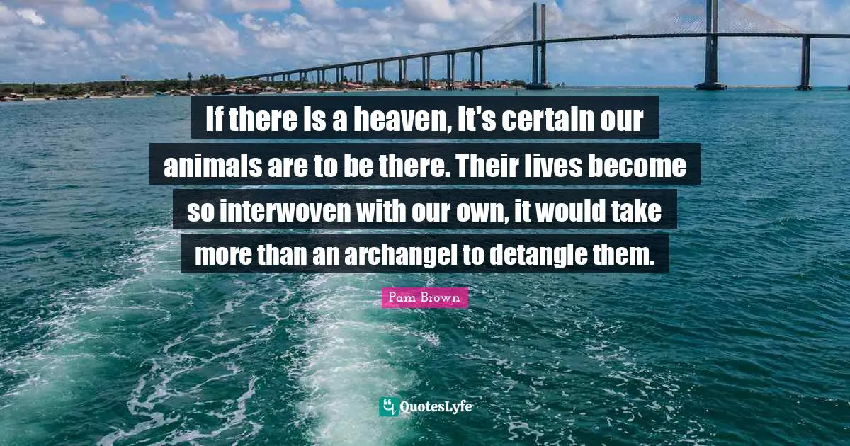 If there is a heaven, it's certain our animals are to be there. Their lives become so interwoven with our own, it would take more than an archangel to detangle them.
