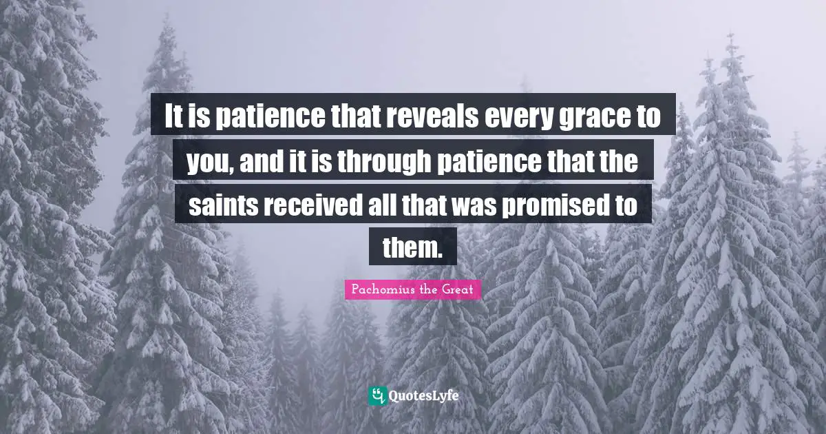 It is patience that reveals every grace to you, and it is through patience that the saints received all that was promised to them.