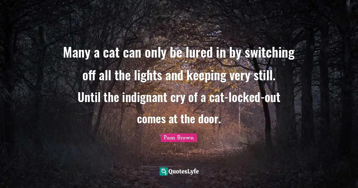 Switching Quotes: "Many a cat can only be lured in by switching off all the lights and keeping very still. Until the indignant cry of a cat-locked-out comes at the door."