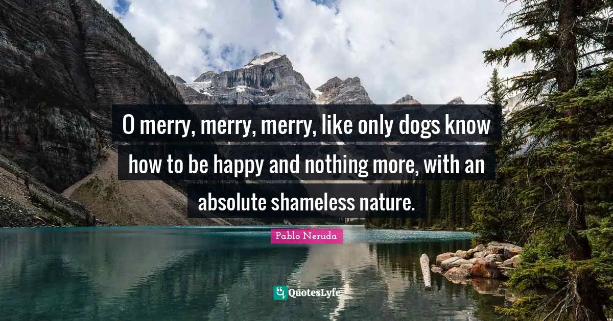 O merry, merry, merry, like only dogs know how to be happy and nothing more, with an absolute shameless nature.
