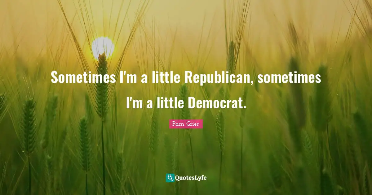 Sometimes I'm a little Republican, sometimes I'm a little Democrat.