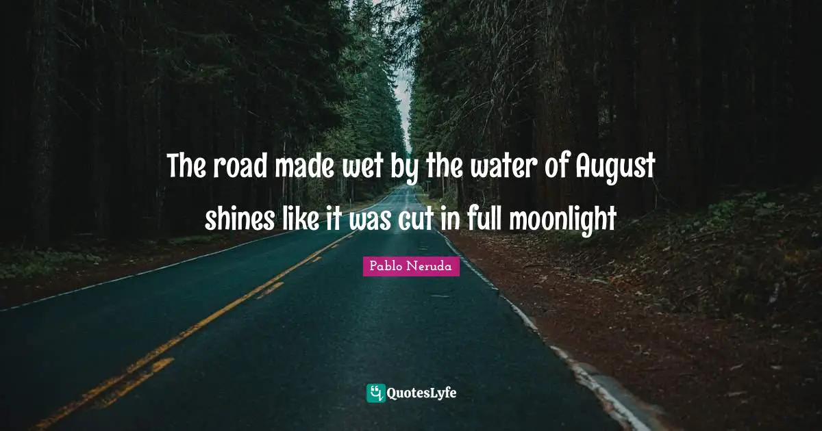 The road made wet by the water of August shines like it was cut in full moonlight