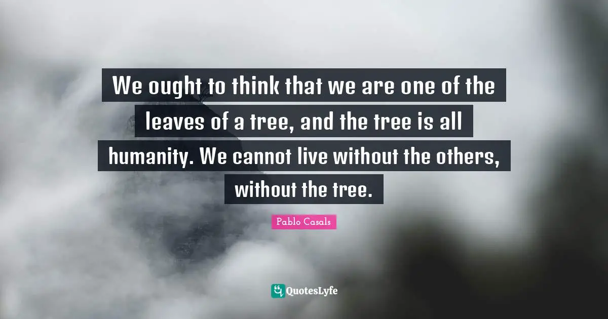 We ought to think that we are one of the leaves of a tree, and the tree is all humanity. We cannot live without the others, without the tree.