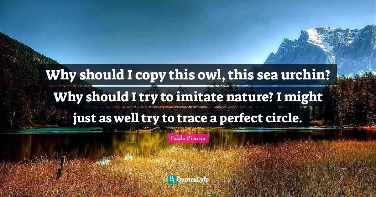 Why should I copy this owl, this sea urchin? Why should I try to imitate nature? I might just as well try to trace a perfect circle.