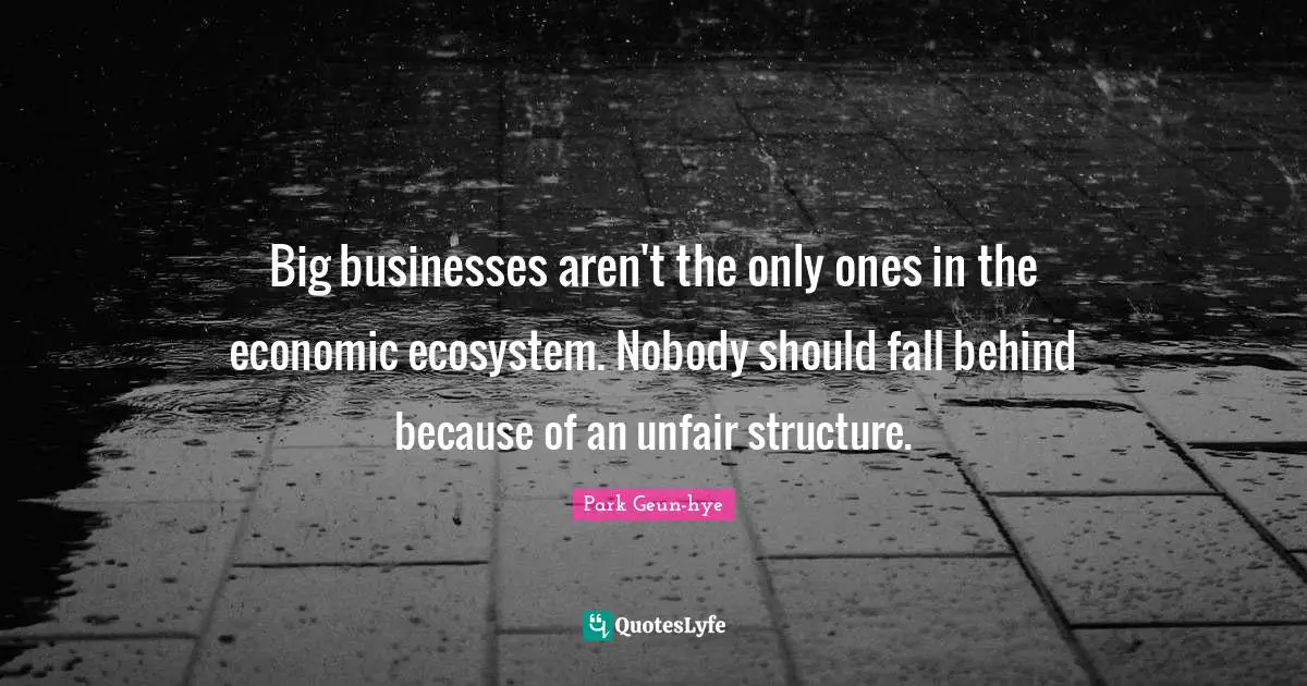 Ecosystems Quotes: "Big businesses aren't the only ones in the economic ecosystem. Nobody should fall behind because of an unfair structure."