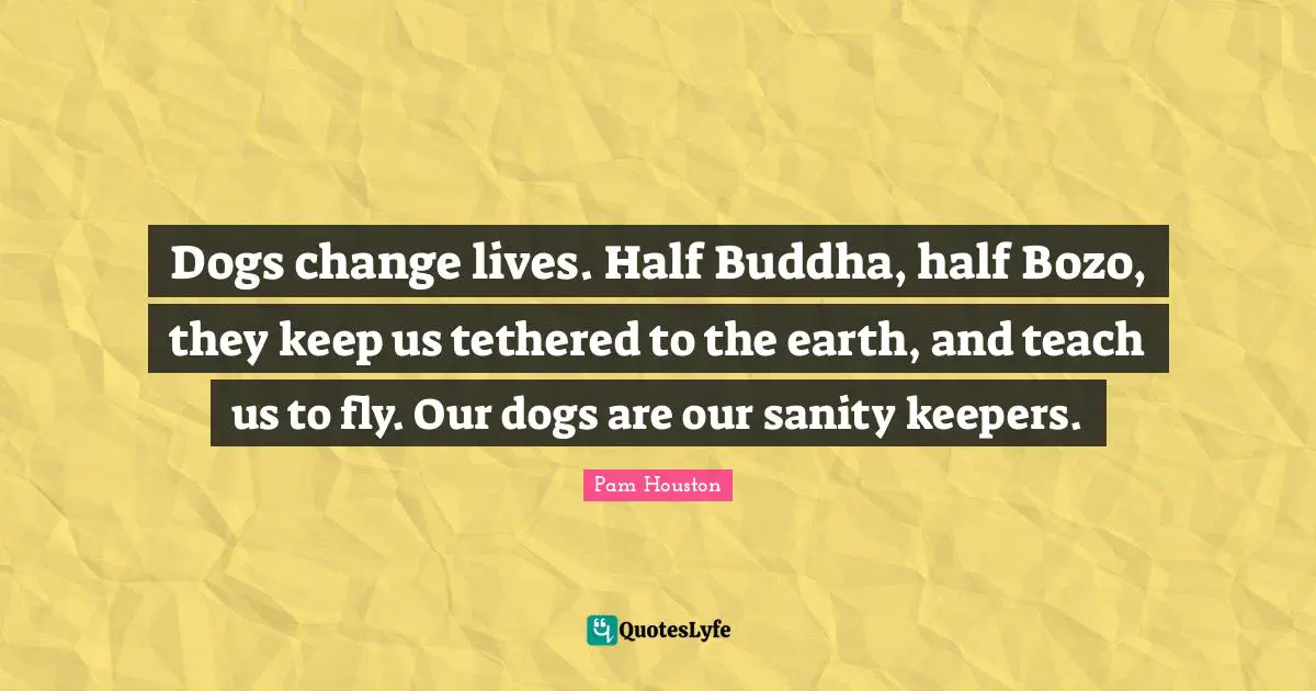 Dogs change lives. Half Buddha, half Bozo, they keep us tethered to the earth, and teach us to fly. Our dogs are our sanity keepers.