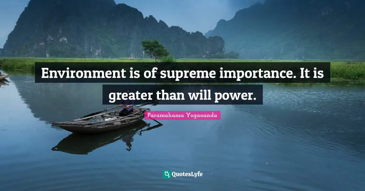 Environment is of supreme importance. It is greater than will power.