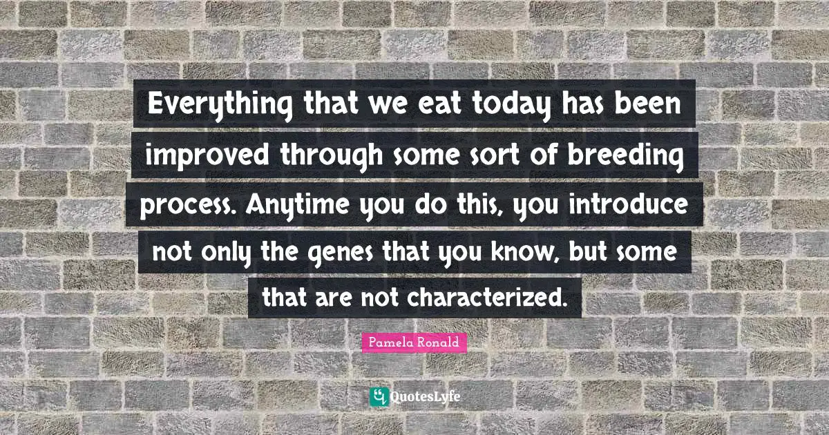 Everything that we eat today has been improved through some sort of breeding process. Anytime you do this, you introduce not only the genes that you know, but some that are not characterized.