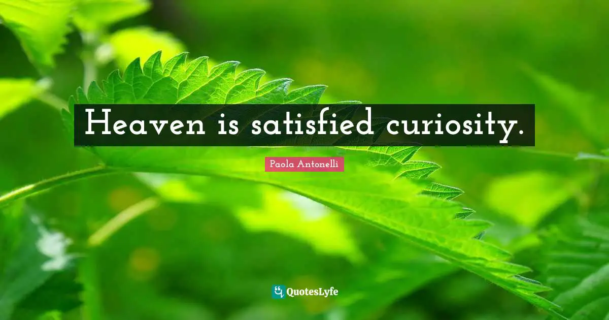 Heaven is satisfied curiosity.