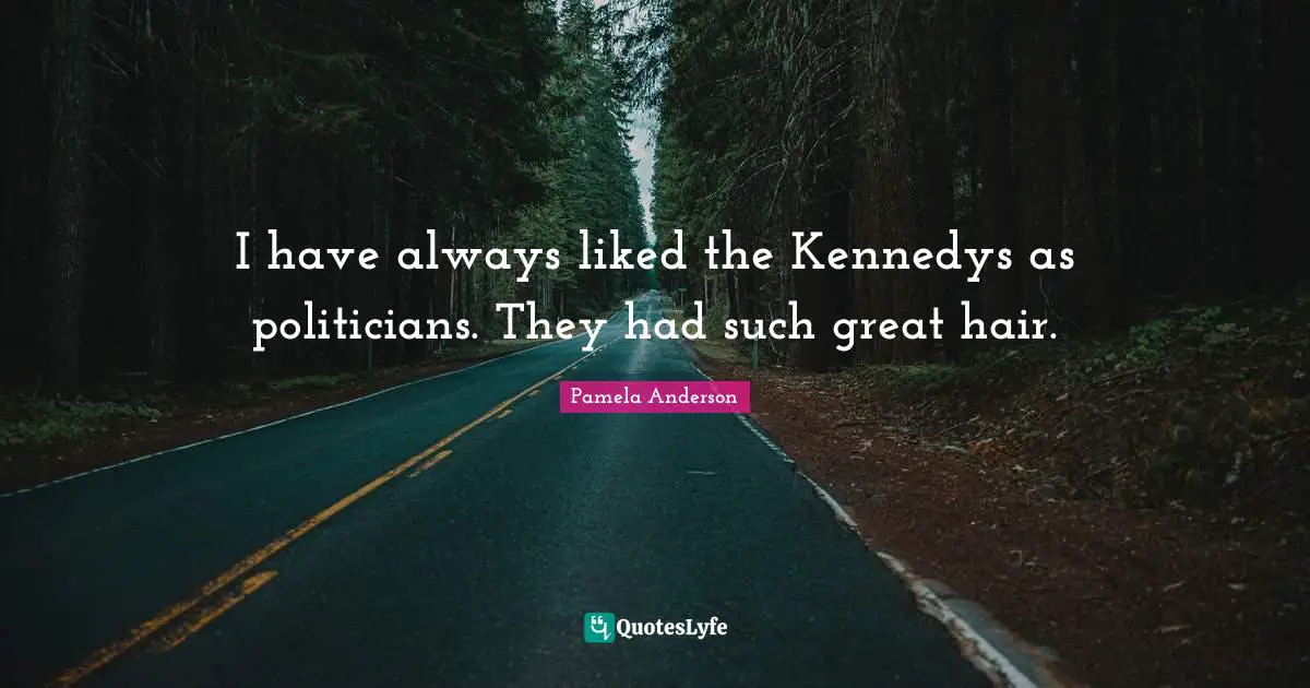 I have always liked the Kennedys as politicians. They had such great hair.
