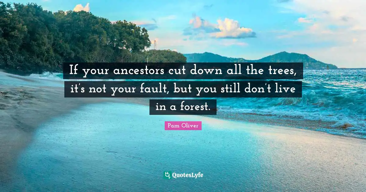 If your ancestors cut down all the trees, it’s not your fault, but you still don’t live in a forest.