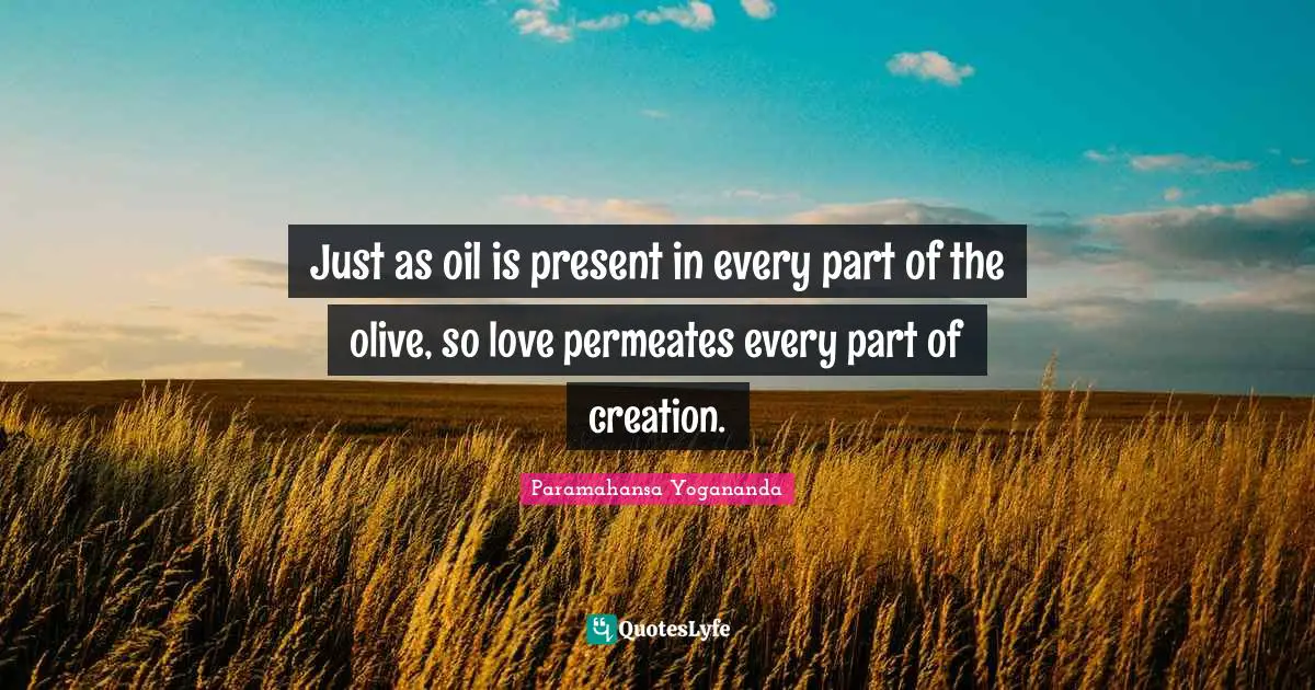 Olives Quotes: "Just as oil is present in every part of the olive, so love permeates every part of creation."